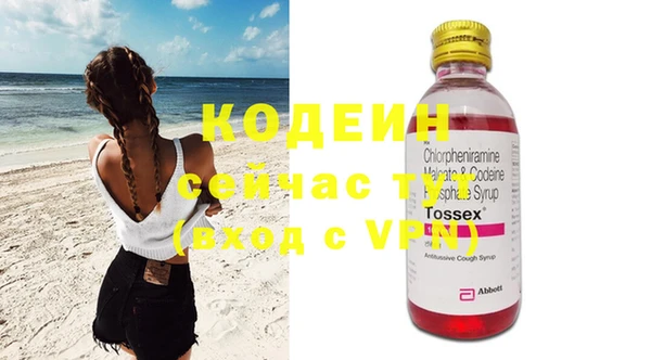 спиды Бородино