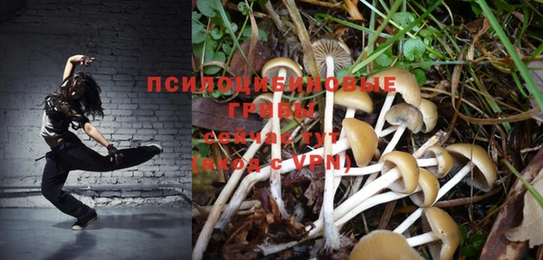 спиды Бородино