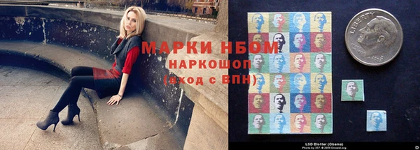 спиды Бородино