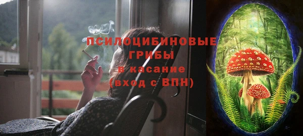 спиды Бородино