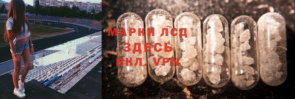 спиды Бородино