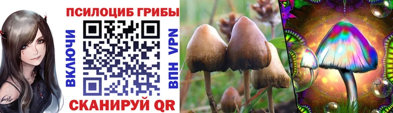 Галлюциногенные грибы ЛСД  Бутурлиновка 